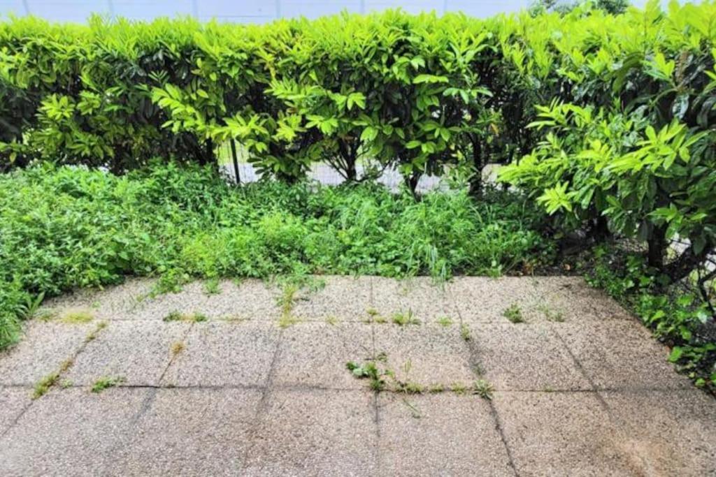 Appartement Cosy Proche Paris Le Bourget Dış mekan fotoğraf